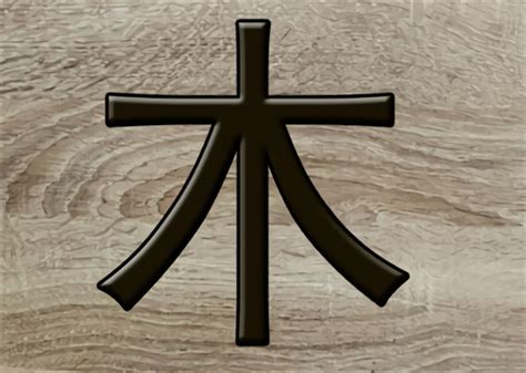 木太多的人|八字木多是什么意思 八字木多如何化解